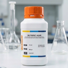 Nutrient Agar